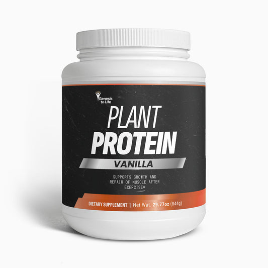 Plant Protein (Vanilla)