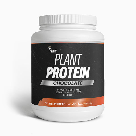 Proteína vegetal (chocolate)